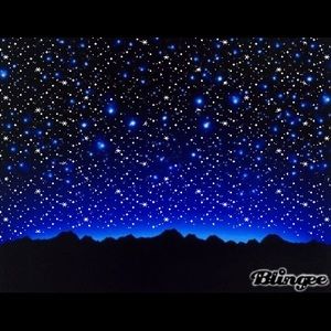 Meet your Posher, Evelyn